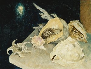 Shells