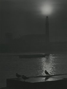 Seagulls Silhouettes at Dusk near the River Thames