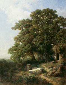 Chestnuts in South Tyrol