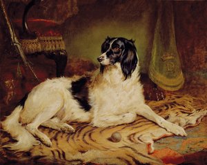 Minna, a favourite dog of James, Marquess of Dalhousie