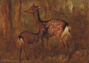 Japanese Deer at Talliallan