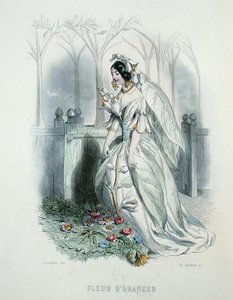 The Orange Blossom, from 