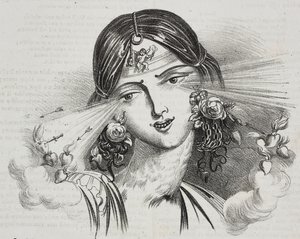 Feminine beauty by Grandville
