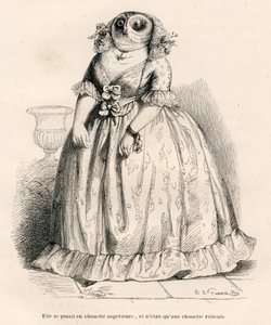 Owl Thinking Itself Superior but Only Ridiculous. Illustrated Vignettes by JJ Granville. Engraving Signed Rouget in the Section Titled 