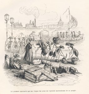 Ants in Full Activity on the Banks of the Seine. Illustrated Vignettes by JJ Granville. Engraving Signed Porret in the Section 