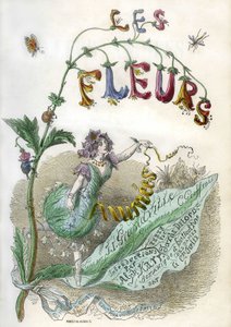 Frontispiece of the Book 