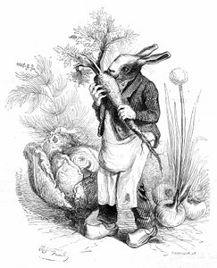 Grandville engraving, from the book “Private and public life of animals (Les animaux peints par eux-mêmes)”, Hetzel edition 1867. Rabbit gardener in hooves crunching a carrot in his vegetable garden where vegetables (onions and cabbage) grow.