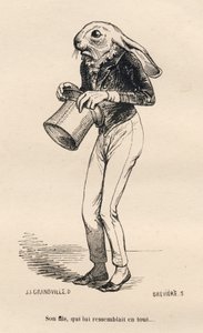 Fearful hare in dandy costume. Illustrated vignettes by JJ Granville. Engraving signed Breviere in the section "History of a Hare" written by PJ Stahl in "Scenes from the Private and Public Life of Animals". Paris, J. Hetzel and Paulin