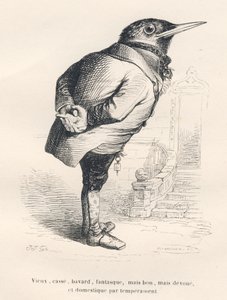 Blackbird "old, broken, talkative, whimsical but good, devoted and domestic by temperament". Illustrated vignettes by JJ Granville. Engraving signed Tamisier in the section titled "Memories of an Old Crow" written by PJ Stahl in "Scenes from the Private an by Grandville