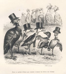 Goose Job Consisting of Bringing Students to the Fields. The Geese Move Away from Their Child. Illustrated Vignettes by JJ Granville. Engraving Signed Breviere in the Section 