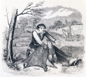 The Birdcatcher, the Goshawk and the Lark - Fables by La Fontaine by Grandville