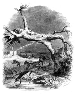 The Oak and the Reed: La Fontaine