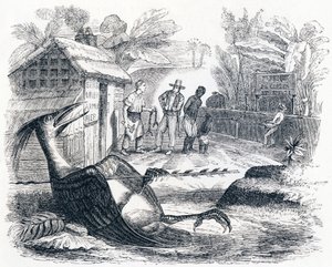 The Bird Hurt by an Arrow - Fables by La Fontaine by Grandville