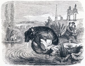 The Dog That Gives Up Its Prey for the Shade - Fables by La Fontaine