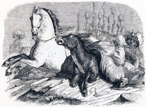 The Horse and the Donkey - Fables by La Fontaine by Grandville