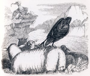 The Raven Wanting to Imitate the Eagle - Fables by La Fontaine by Grandville