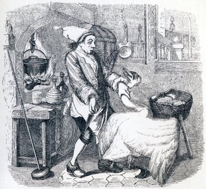The Swan and the Cook - Fables by La Fontaine by Grandville
