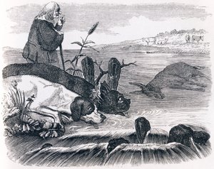 The Two Dogs and the Dead Donkey - Fables by La Fontaine by Grandville