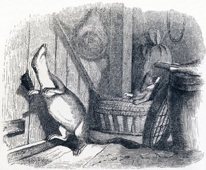 The Weasel Enters an Attic - Fables by La Fontaine