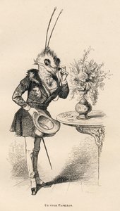 An Old Butterfly Looking at the Time with His Glasses. Illustrated Vignettes by JJ Granville. Engraving Signed Breviere in the Section 