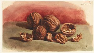 Walnut by Grandville