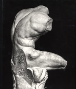Belvedere torso by Greco Roman Greco Roman