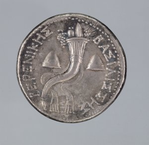 Silver Didrachma of Berenice II
