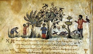 Hunting with the Falcon and Capturing Bird Nests. Greek Manuscript of Oppianus De Venatione 13th Century by Greek School