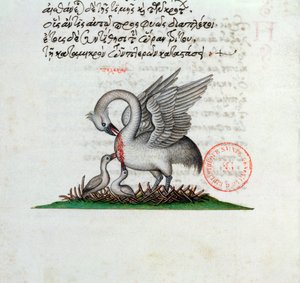 A Pelican Piercing its Breast to Feed its Young, from a Bestiary by Manuel Philes, 1566