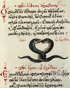 Snake coupling, test and miniature from De animalium natura et proprietate libellus