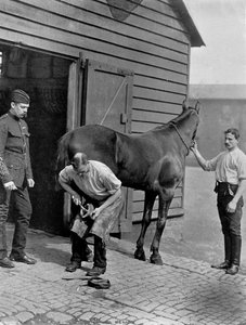 The Farrier-Major of the Royal Horse Guard, 1896