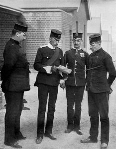 The battalion staff of the Die Hards, 1896 by Gregory and Co