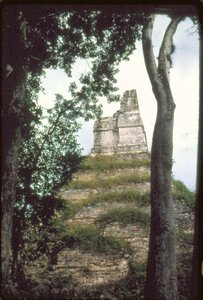 Temple of the Inscriptions