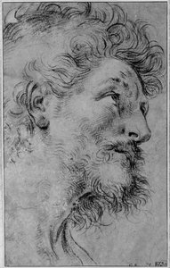 Head of St. Crispin by Guido Reni