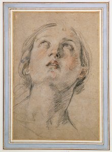 Head of a Woman Looking Up