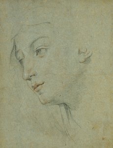 The Head of a Woman Looking Down to the Left by Guido Reni
