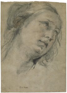 The Head of a Young Woman Looking Upward by Guido Reni