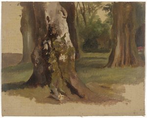 Tree Trunks by Guillaume Anne van der Brugghen