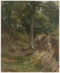 Dry Stream in the Forest by Guillaume Anne van der Brugghen