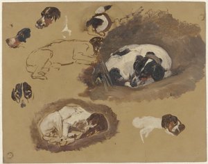 Studies of a Hunting Dog by Guillaume Anne van der Brugghen
