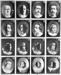 Physiognomical studies, from 22 to 28, from 