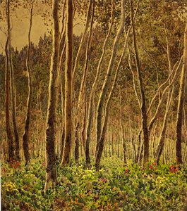 Sunlit Birches by Gunnar Widforss
