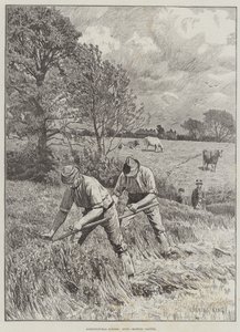 Agricultural Scenes, June, mowing Clover by Gunning King