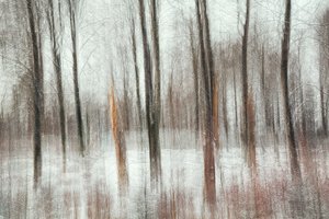 Abstract Winter Forest by Gustav Davidsson