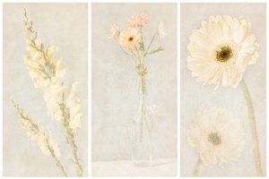 Faded Floral Triptych