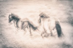 Galloping Horses Dream by Gustav Davidsson