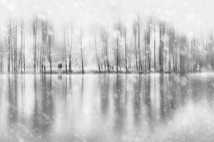Winter Couple Reflection