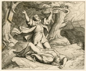 Martin Luther and his friend Alexis went on a ramble during a thunderstorm. Alexis was struck by lightning and died