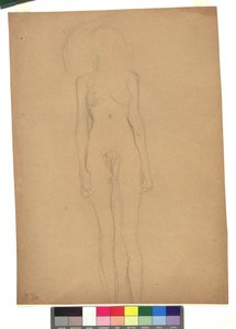 Standing Female Nude