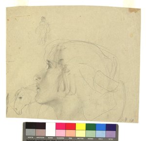 Female Head in Profile to the Left, Horse Head in Profile, Figure Study